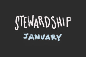Character Counts: Stewardship