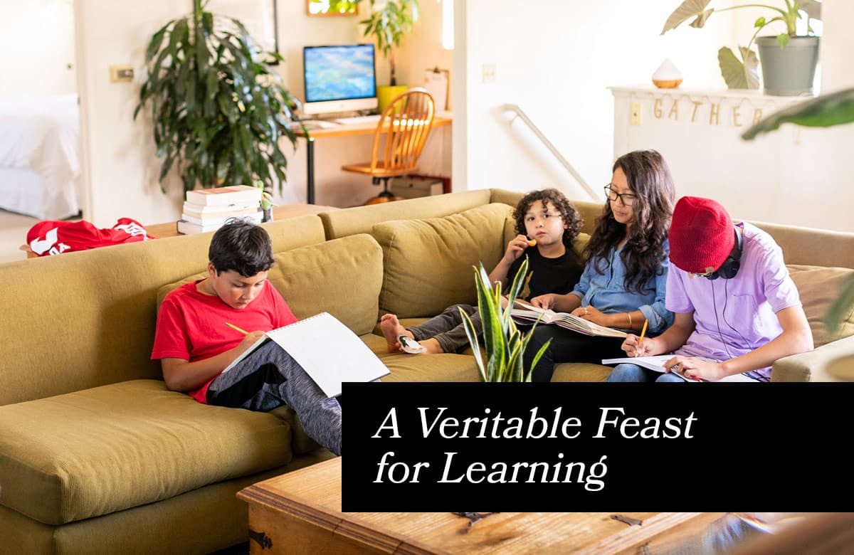 A Veritable Feast for Learning